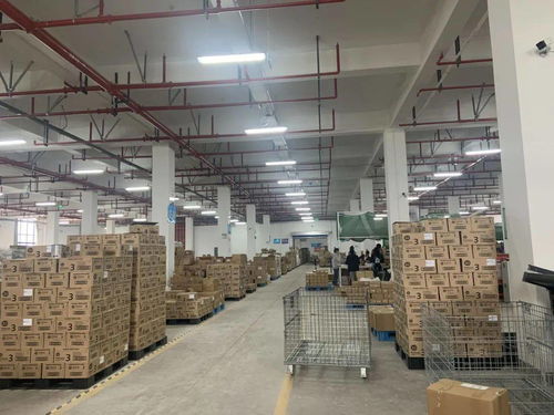 总值突破3000亿元 2020年义乌外贸进出口数据发布
